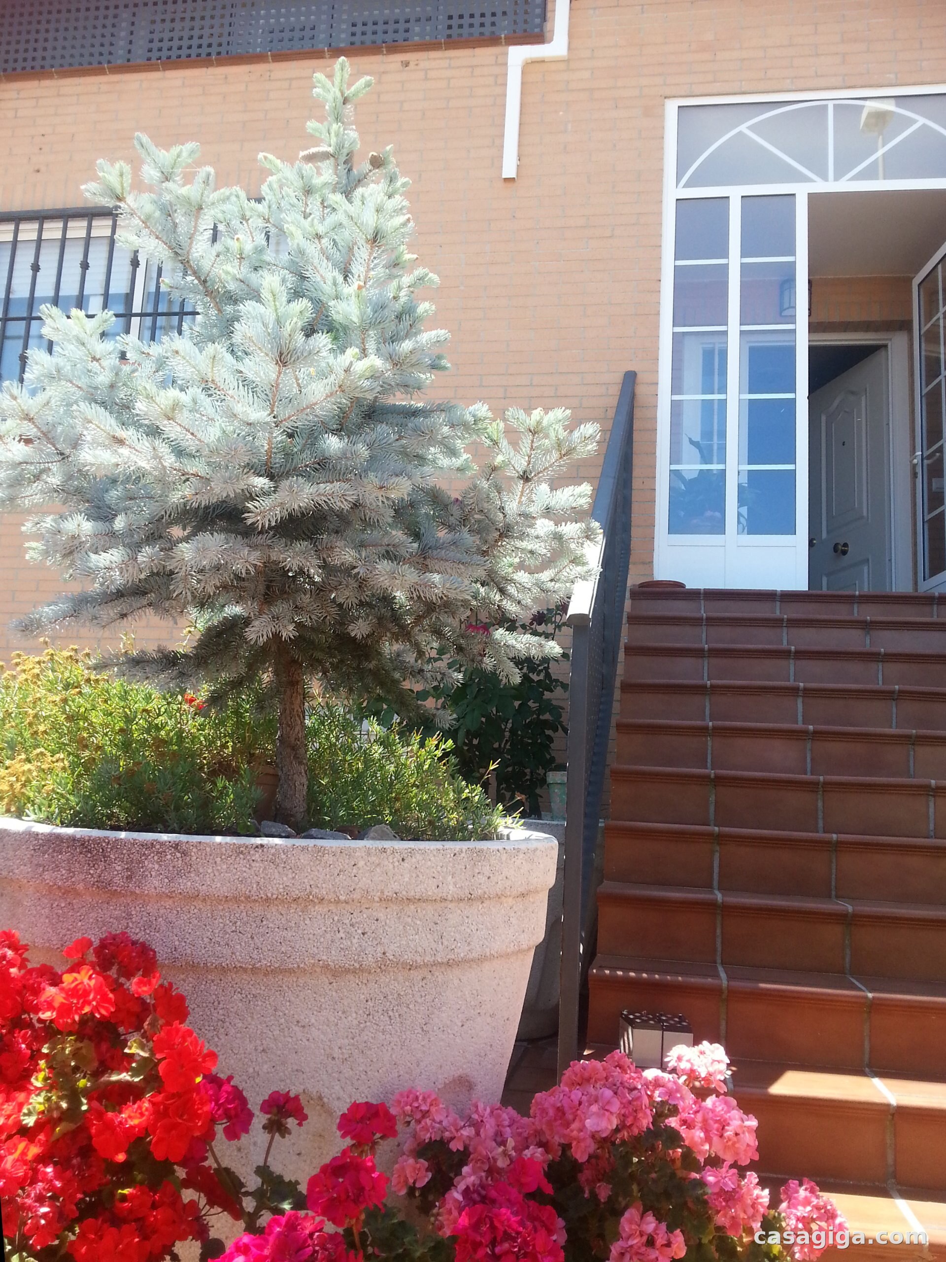 Location de maison à Norte — photo 2