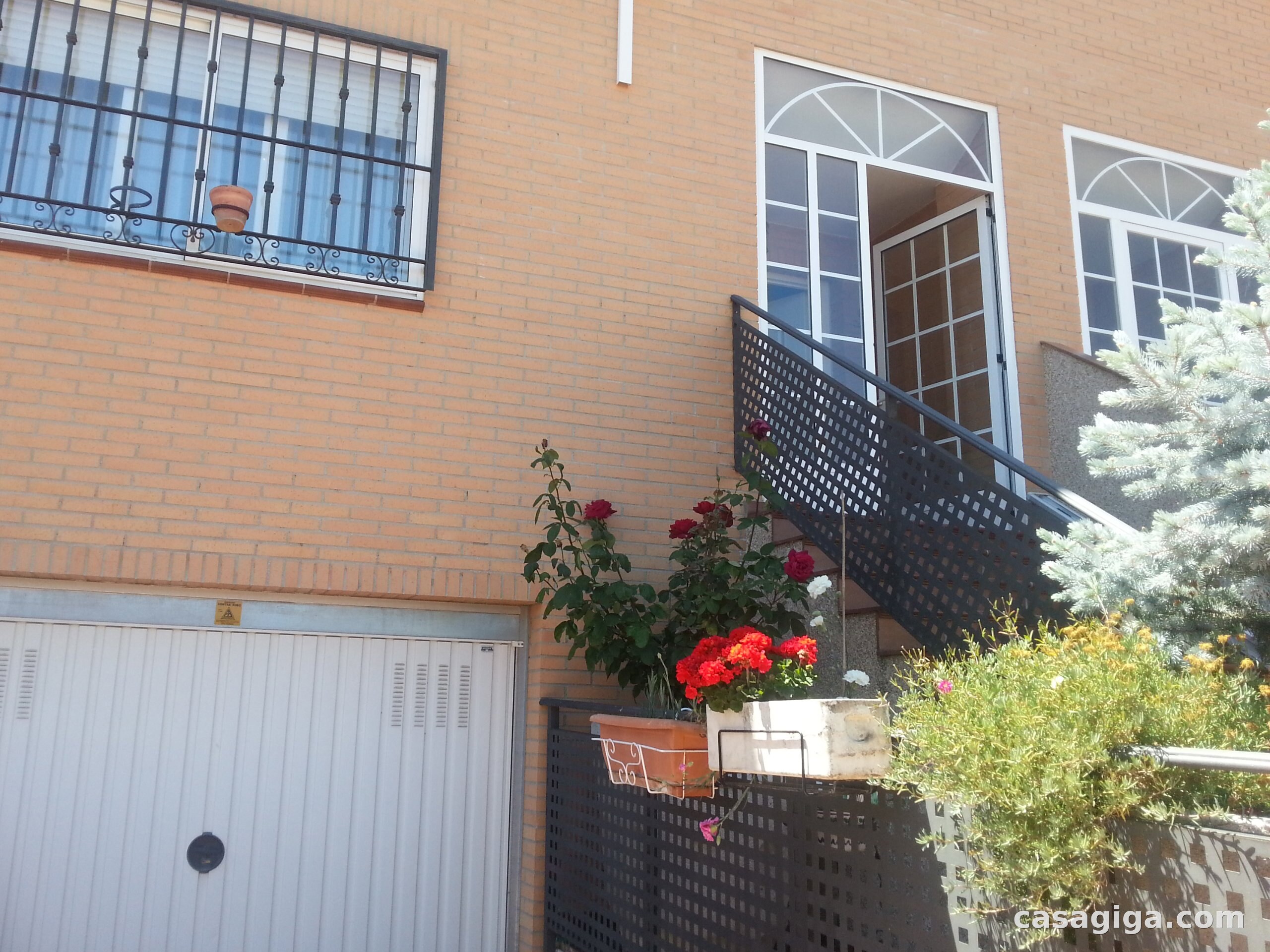 Location de maison à Norte — photo 3